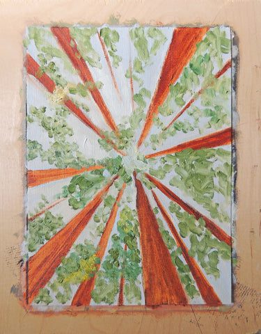 Third Grade Art Projects: One Point Perspective Trees are painted from the perspective of someone laying on the ground looking up. Leaves are created using a dotting technique.