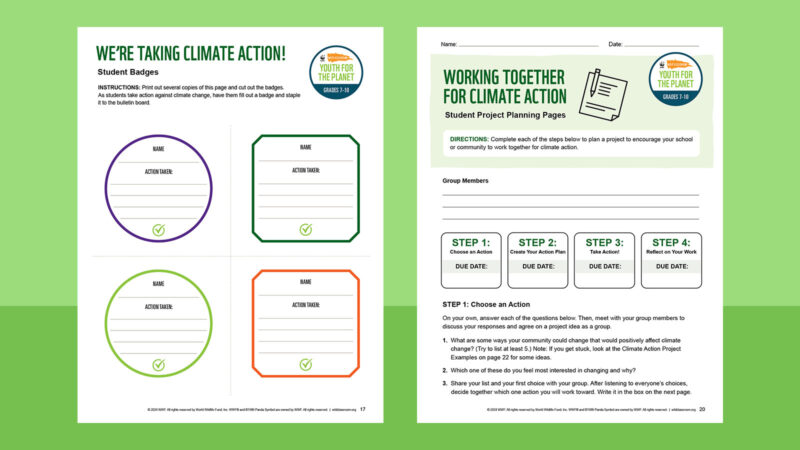 Empower Your Classroom: Grab Your FREE Climate Action Kit Now! Pages from the climate kit