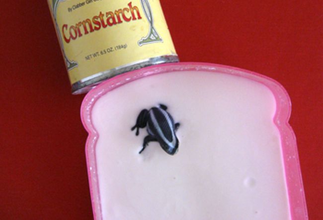 5th Grade Science Quicksand Educationcom Container of cornstarch mixed with water with a small plastic frog on top, next to a container of cornstarch