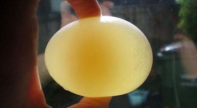 6th Grade Science Naked Egg Making Memories With Your Kids Sixth grade science student holding a raw egg without a shell