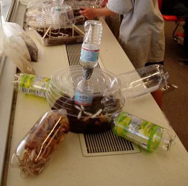 6th Grade Science Teach Engineering Model biodome made from plastic bottles and containers filled soil with and plants