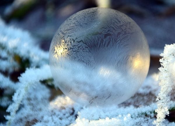 7th Grade Science Bubbles Pixabay Frozen soap bubble on snowy branches