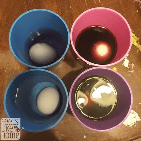 7th Grade Science Sugar Eggs Feels Like Home Four colored cups containing different liquids, with an egg in each