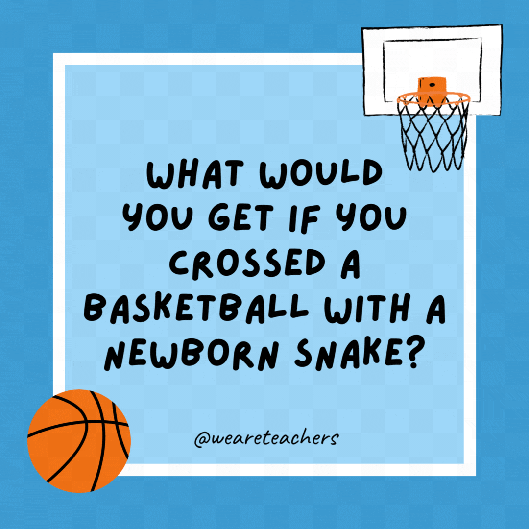 What would you get if you crossed a basketball with a newborn snake? A bouncing baby boa. What would you get if you crossed a basketball with a newborn snake?
A bouncing baby boa.