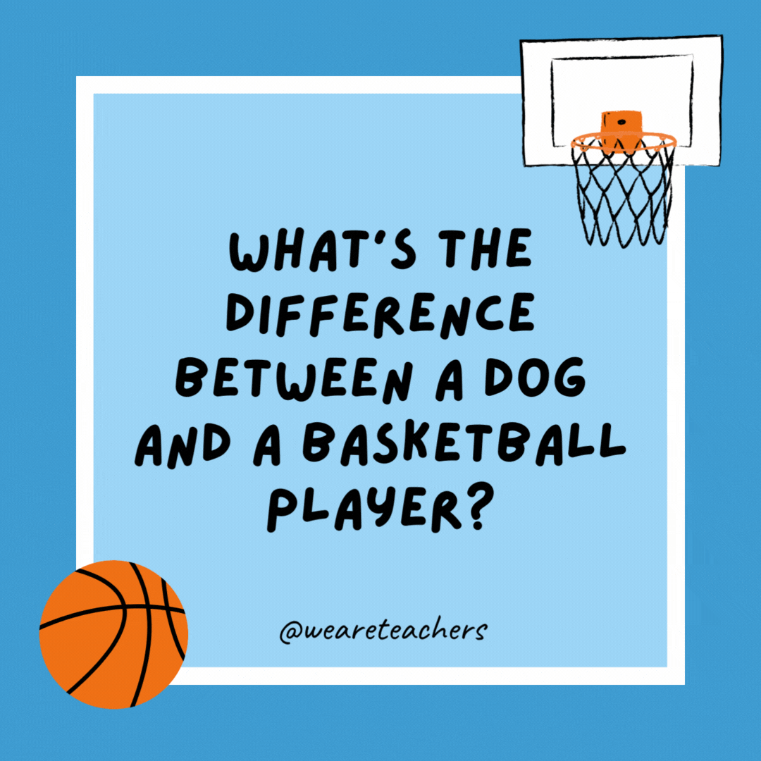 What’s the difference between a dog and a basketball player? One drools and the other dribbles. What’s the difference between a dog and a basketball player?
One drools and the other dribbles.