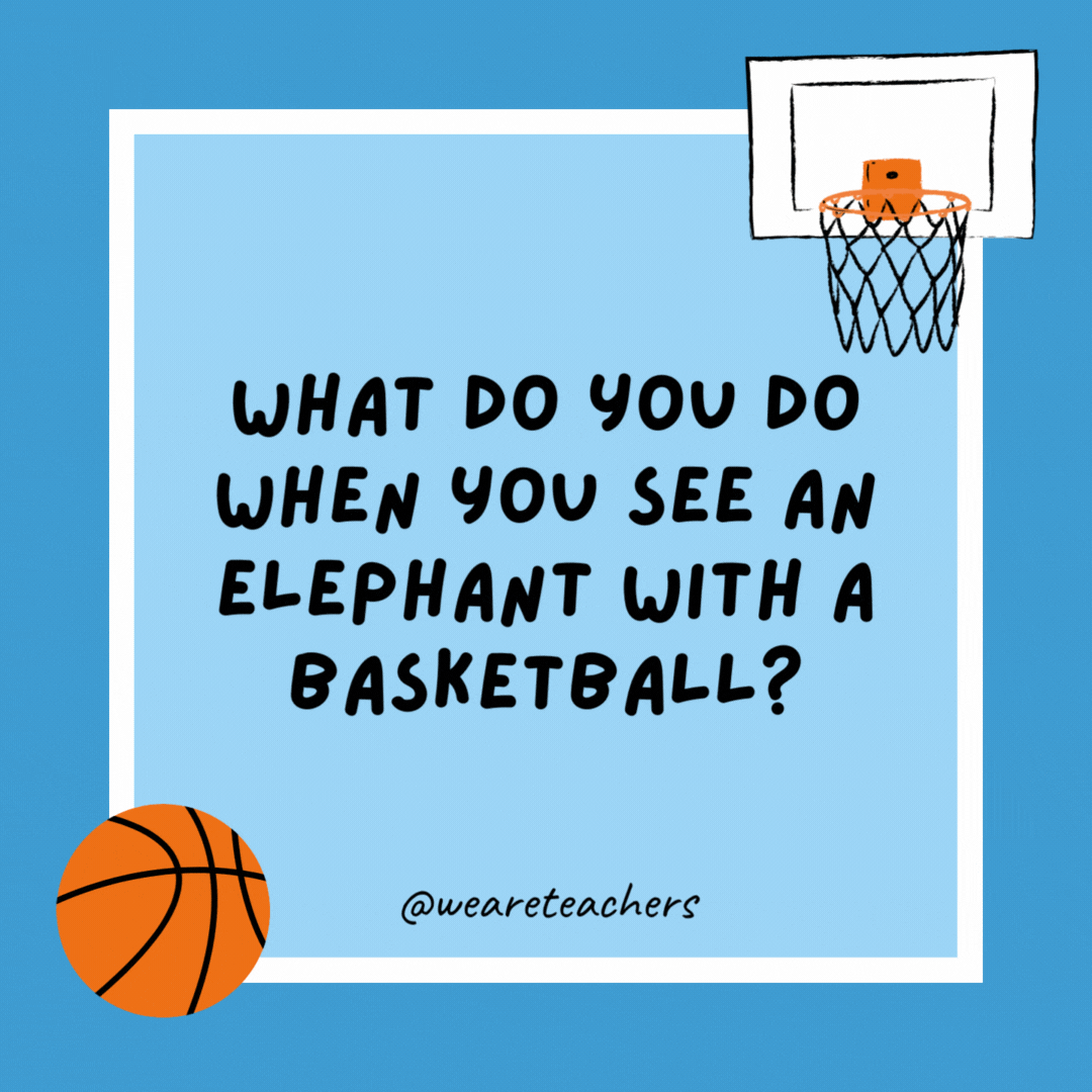 What do you do when you see an elephant with a basketball? Get out of the way. What do you do when you see an elephant with a basketball?
Get out of the way.