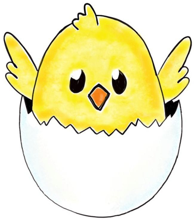 Directed Drawing Chick in an Egg Directed Drawing for Kids include a cartoon baby chicken inside half an eggshell