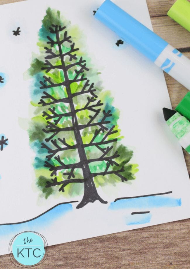 Directed Drawing Pine Tree Simple watercolor marker drawing of a pine tree in snow
