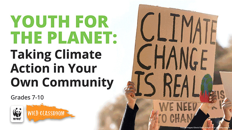 Empower Your Classroom: Grab Your FREE Climate Action Kit Now! Slideshow showing slides from the Youth for the Planet slideshow