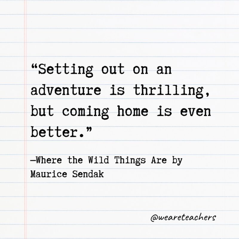 Literary Quotes 14 Quotes from Books: