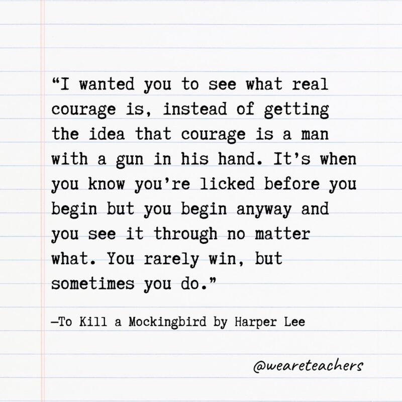 Literary Quotes 30 - Quotes from books