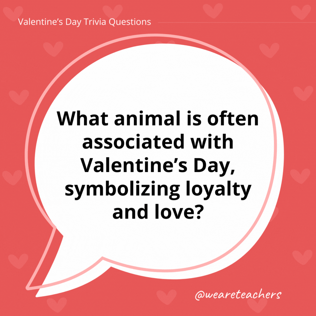 What animal is often associated with Valentine’s Day, symbolizing loyalty and love? Doves. What animal is often associated with Valentine's Day, symbolizing loyalty and love?
Doves.