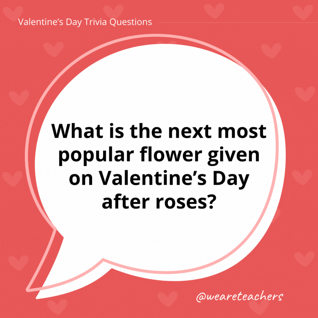What is the next most popular flower given on Valentine’s Day after roses? The second- and third-most popular Valentine’s Day flowers are orchids and carnations. What is the next most popular flower given on Valentine's Day after roses?
The second- and third-most popular Valentine's Day flowers are orchids and carnations.
