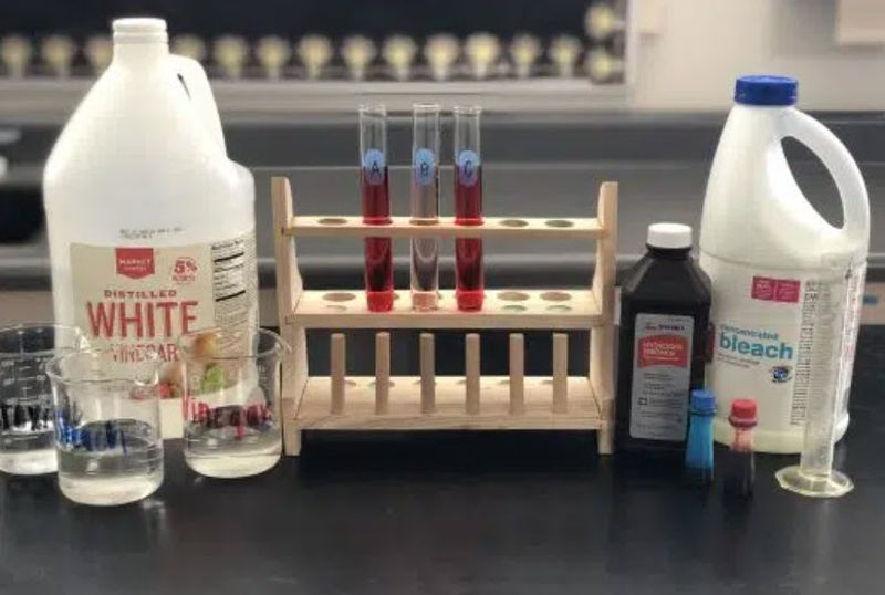 Chemical Change Lab Test tubes in a rack with bleach, hydrogen peroxide, and vinegar