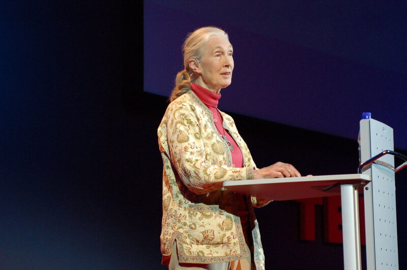goodall Jane goodall giving a speech in 2007
