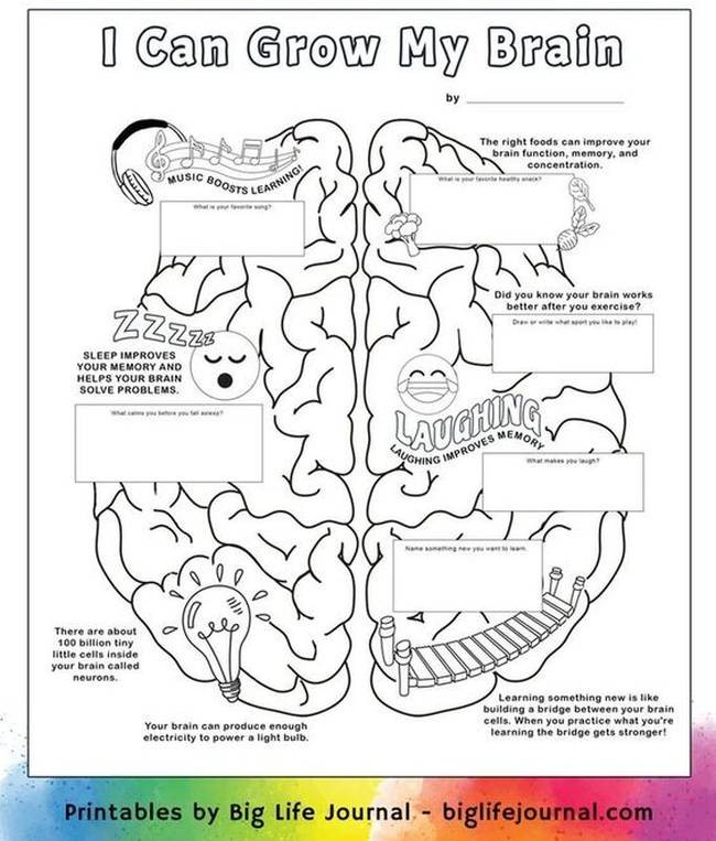 Growth Mindset Activities: Neuroplasticity Printable worksheet with a model of the brain, exploring the idea of neuroplasticity