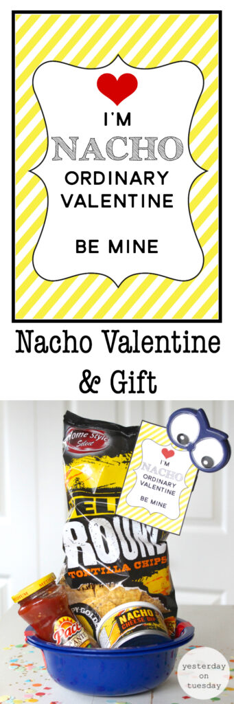 nacho-valentine nacho average valentine pack with chips and salsa