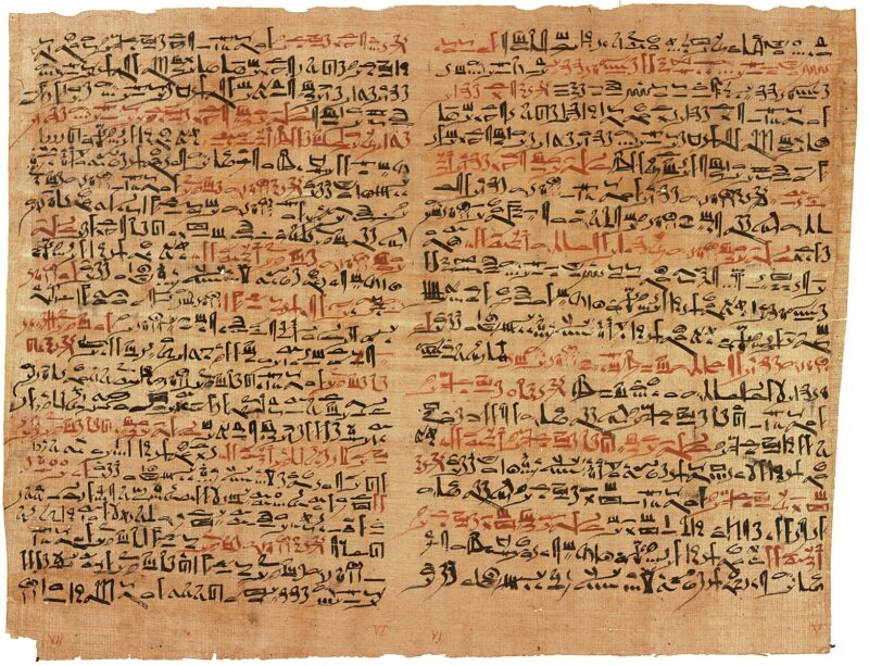 papyrus papyrus from ancient egypt