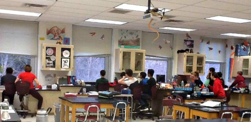 Project FeederWatch Students in a classroom looking out the windows to record their bird sightings at nearby feeders