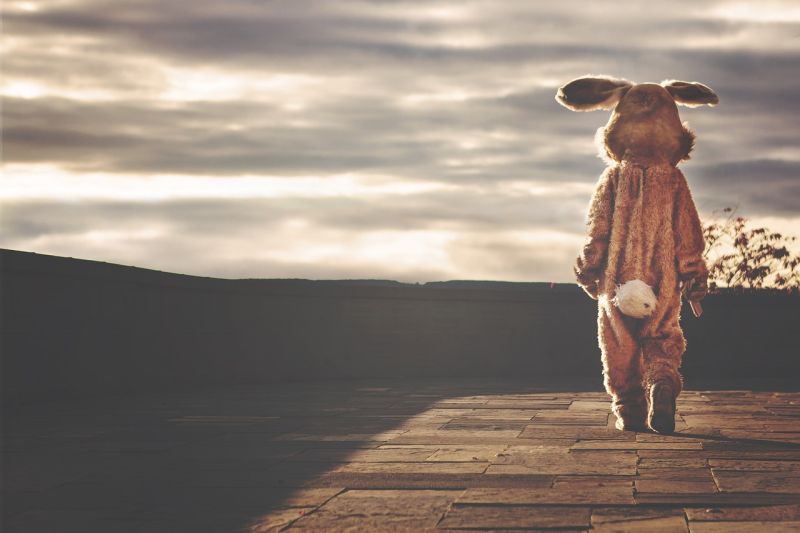 Writing Prompt: Sad Bunny A person wearing a dingy bunny costume standing on the end of a dock