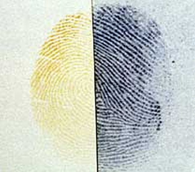 Science Experiments for High School Latent Fingerprints Fingerprint divided into two, one half yellow and one half black