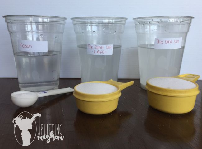 Seventh Grade Science: Salt Water Density Plastic cups labeled