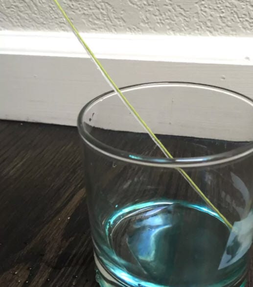Sixth Grade Science Traveling Water String running down into a glass partially filled with blue water