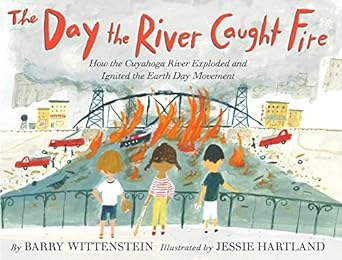 The Day the River Caught Fire Book cover for The Day the River Caught Fire