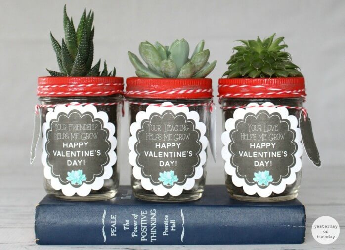 valentines-succulents Succulent plants with a valentine note on them