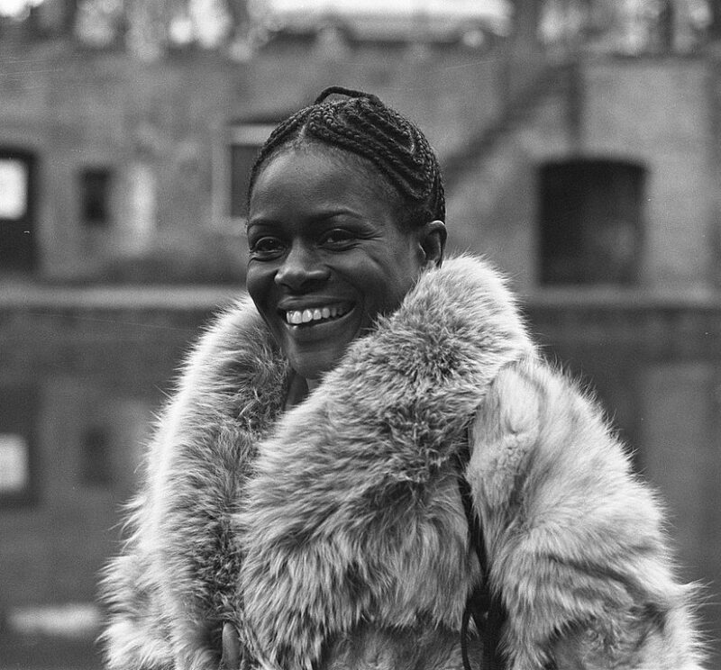 Famous Black Women Cicely Tyson on the list of Famous Black Women Your Students Should Know