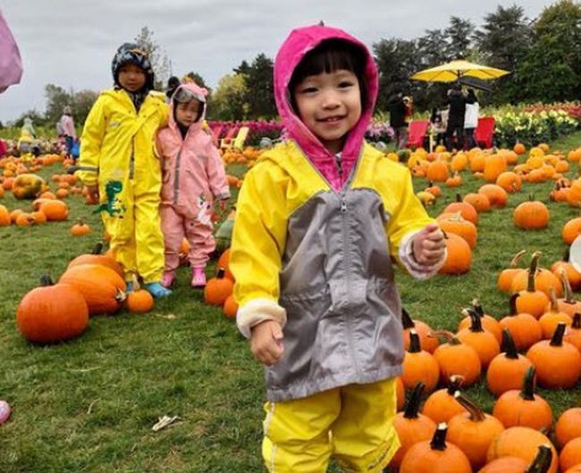 Field Trip Ideas: Pumpkin Patch Young student visiting a pumpkin patch in the rain