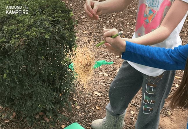 Plant Life Cycle Seed Pods Students exploding a balloon full of seeds and sand