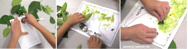paint with chlorophyll A trio of images shows a student creating a painting by pressing leaves between sheets of paper as an example of plant life cycle activities