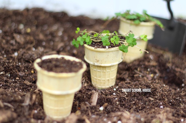 Ice-Cream-Cone-Seedling-Garden Three ice cream cones stuck in the dirt with plants growing out of the top