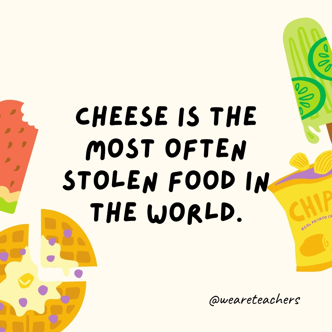 Cheese is the most often stolen food in the world. According to the Center for Retail Research in Britain, an astonishing 4% of the world’s cheese ends up stolen. Cheese is the most often stolen food in the world.
According to the Center for Retail Research in Britain, an astonishing 4% of the world’s cheese ends up stolen.