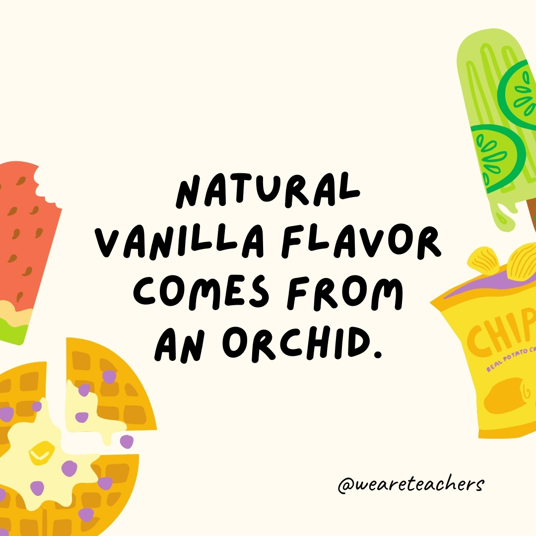 Natural vanilla flavor comes from an orchid. The vanilla pod comes from a type of orchid plant, although much of the vanilla used today is produced synthetically. Natural vanilla flavor comes from an orchid.
The vanilla pod comes from a type of orchid plant, although much of the vanilla used today is produced synthetically.