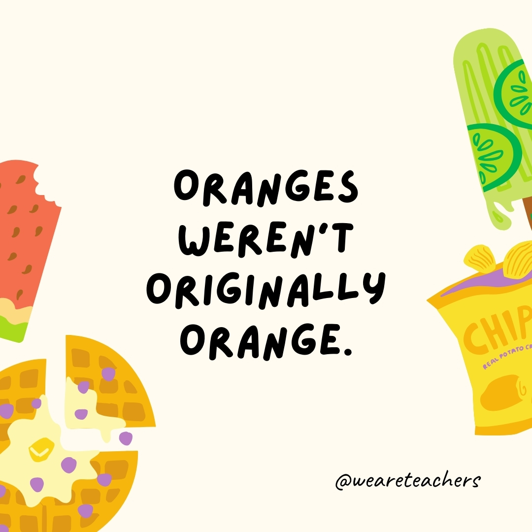 Oranges weren’t originally orange. This is one of those food facts that is equally fun and surprising. The original oranges from Southeast Asia were a tangerine-pomelo hybrid, and they were green. In fact, oranges in warmer regions like Vietnam and Thailand still stay green through maturity. Oranges weren't originally orange.
This is one of those food facts that is equally fun and surprising. The original oranges from Southeast Asia were a tangerine-pomelo hybrid, and they were green. In fact, oranges in warmer regions like Vietnam and Thailand still stay green through maturity.