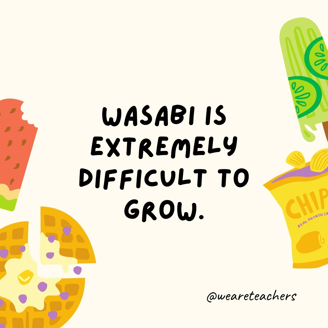 Wasabi is extremely difficult to grow. Wasabi is extremely difficult to grow.