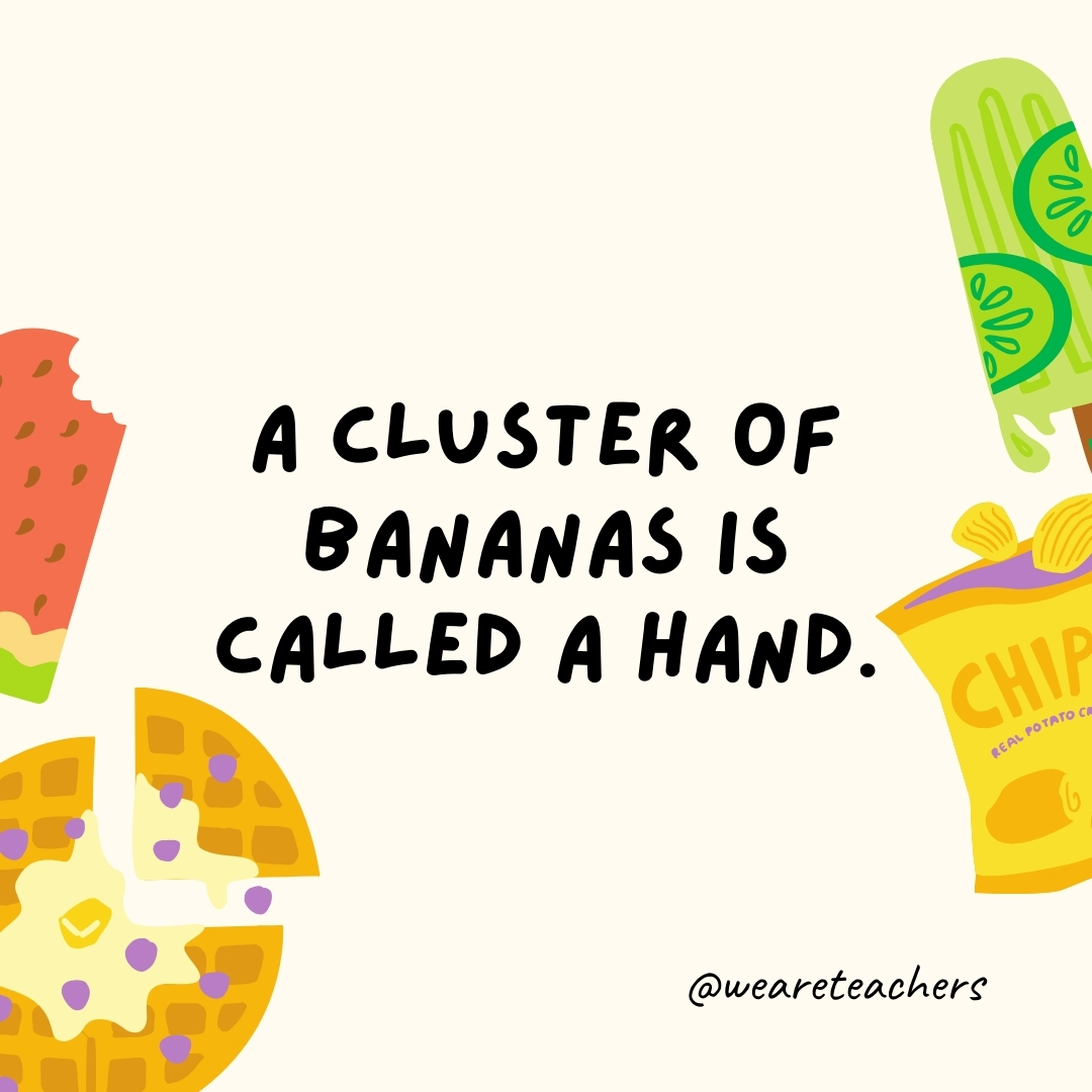 A cluster of bananas is called a hand. A cluster of bananas is called a hand.