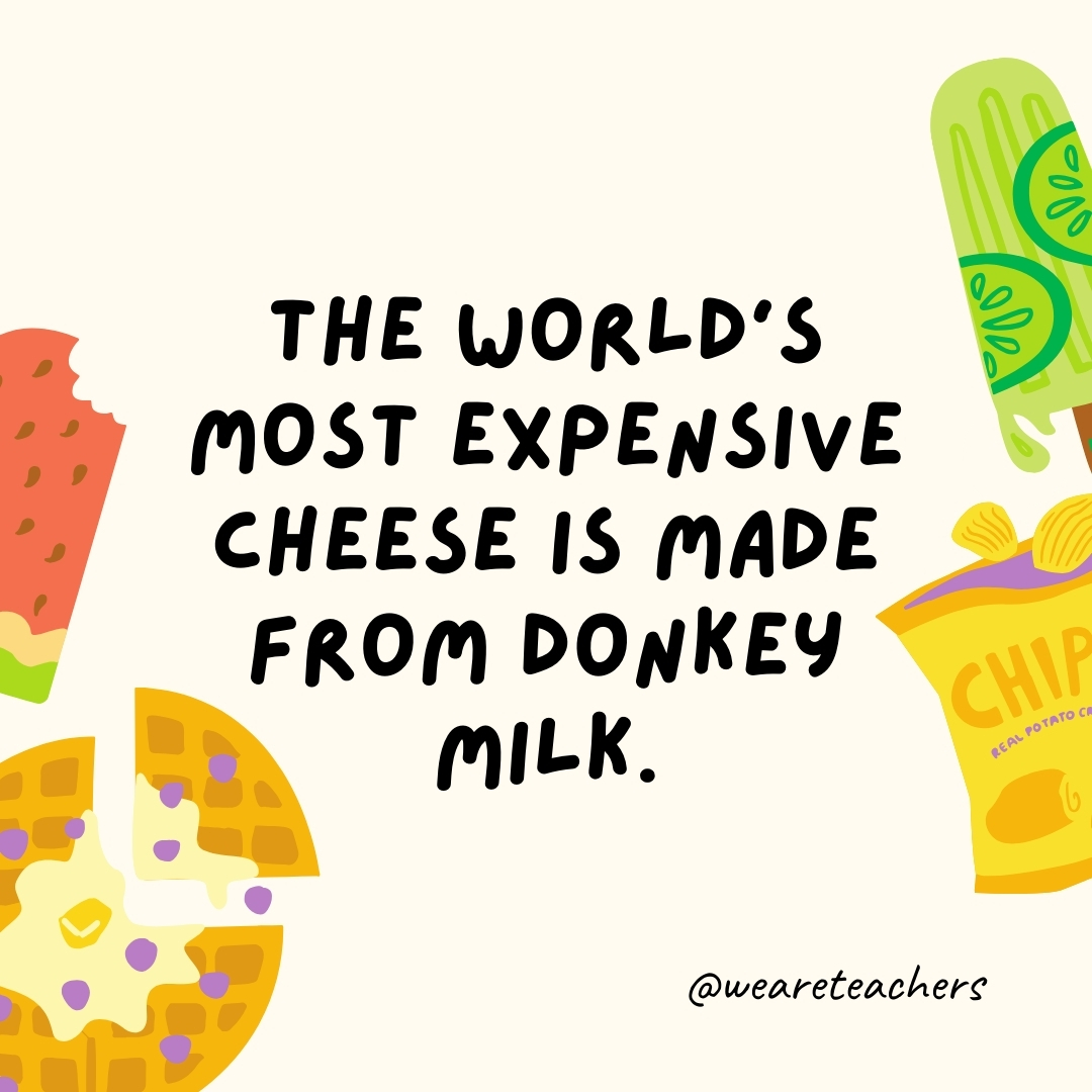 The world’s most expensive cheese is made from donkey milk. The world's most expensive cheese is made from donkey milk.