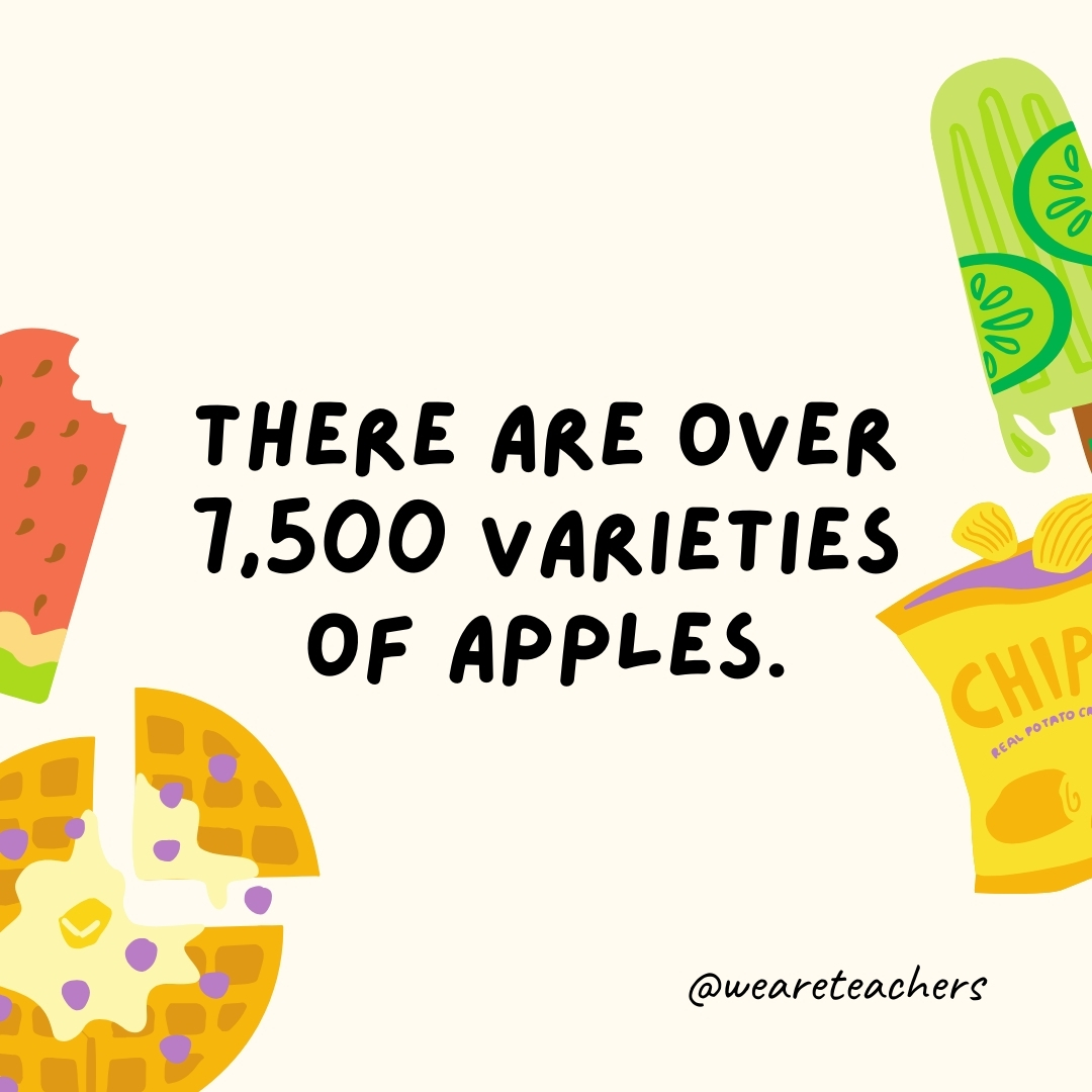 There are over 7,500 varieties of apples. There are over 7,500 varieties of apples.- fun food facts