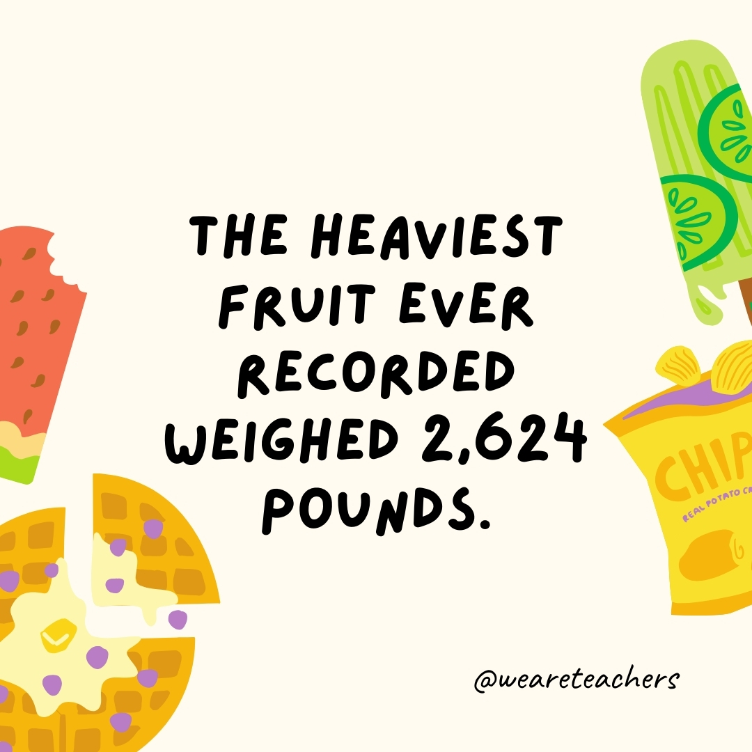 The heaviest fruit ever recorded weighed 2,624 pounds. The heaviest fruit ever recorded weighed 2,624 pounds.