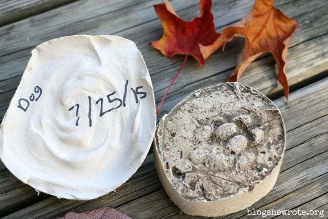 8th Grade Science Blog She Wrote2 Plaster cast of dog footprint next to autumn leaves, dated 7/25/15