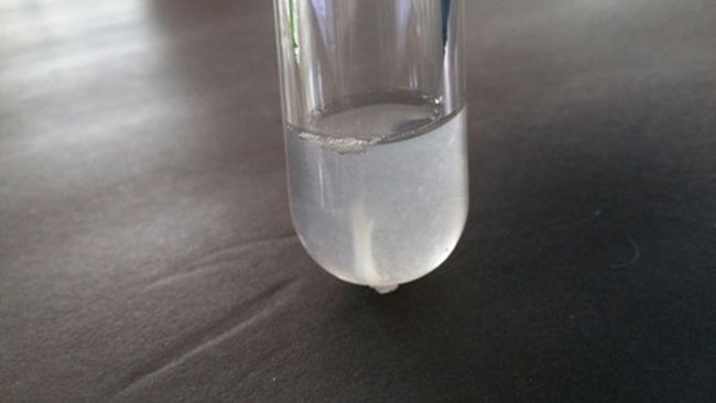 8th Grade Science DNA Home Science Tools Test tube with cloudy liquid and small white floating strand