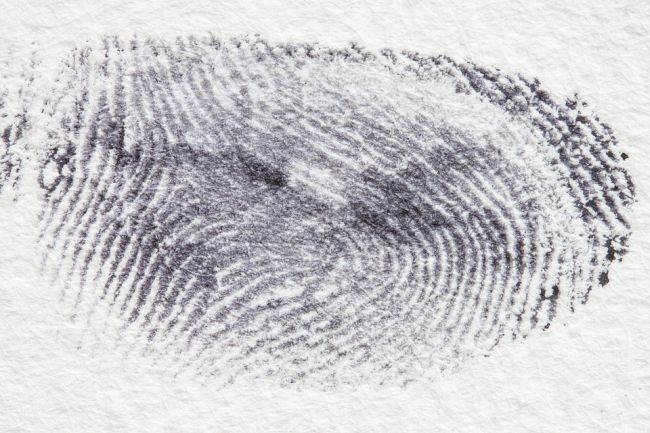 8th Grade Science Fingerprints Pixabay Image Large fingerprint in black ink on white paper