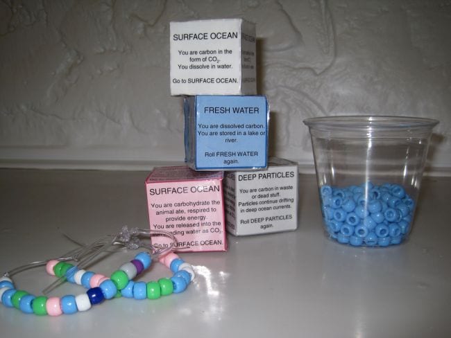 Climate Change Activities Cosee Now Carbon Cycle Classroom Game consisting of paper dice, string of beads, and cup full of beads
