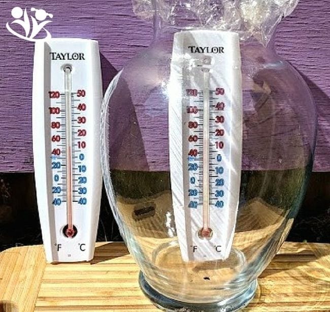 Climate Change Activities Kid Minds Two thermometers, one inside a covered glass jar. The jar thermometer shows a temperature 20 degrees higher. (Climate Change Activities)