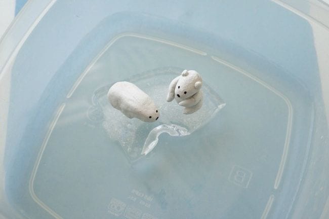 Climate Change Activities Kitchen Counter Chronicle Two model polar bears floating on a small piece of ice in a plastic container