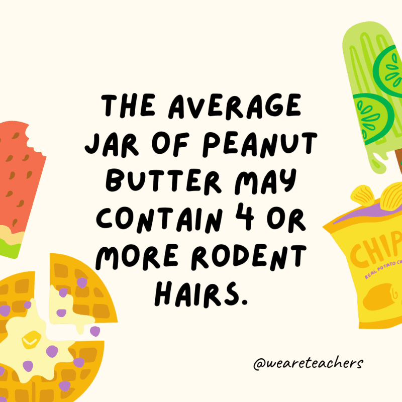 25 Fascinating and Gross Food Facts! Fun food facts - The average jar of peanut butter may contain 4 or more rodent hairs.