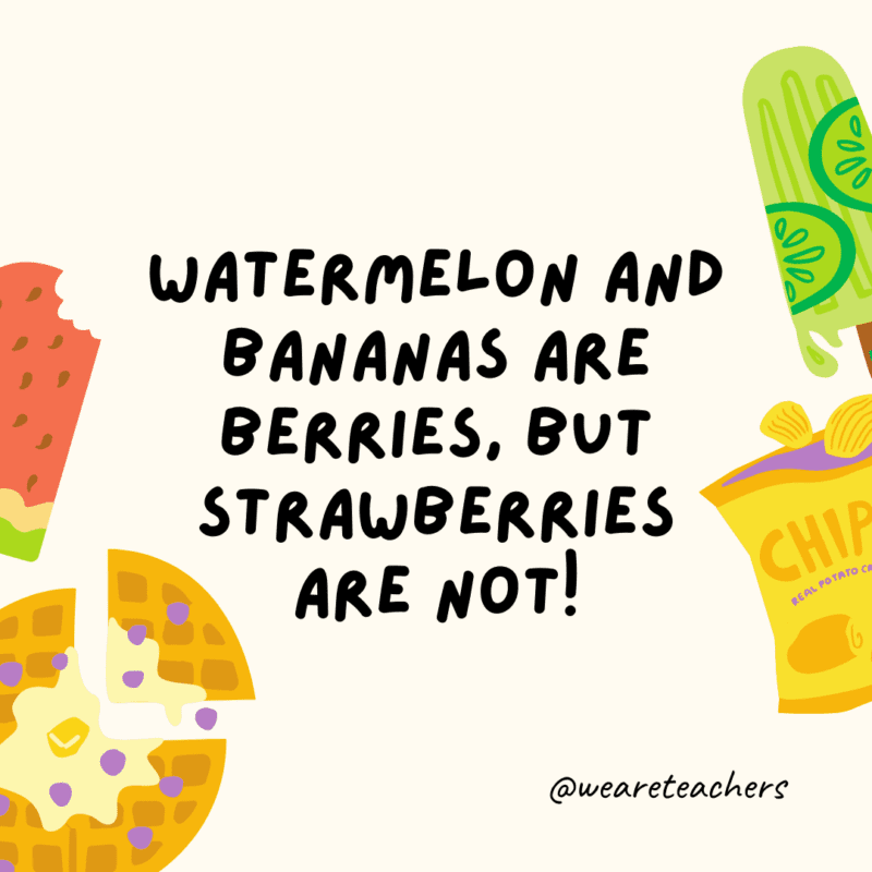 25 Fascinating and Gross Food Facts! Watermelon and bananas are berries, but strawberries are not!